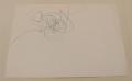 Sin título
