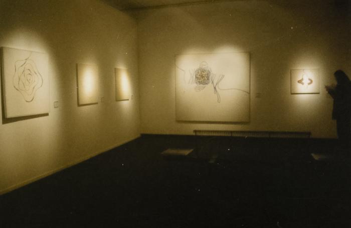 [VACÍO]