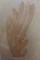 Sin título