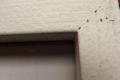 Sin título.